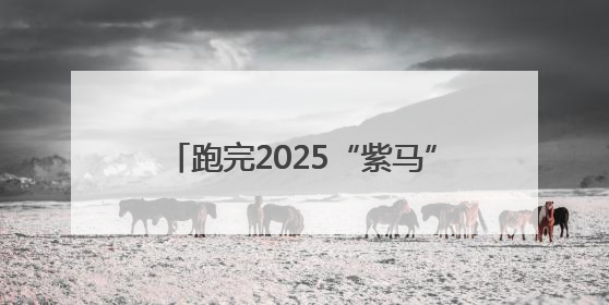 跑完2025“紫马” 来场“抹黑脸”狂欢