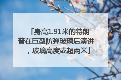 身高1.91米的特朗普在巨型防弹玻璃后演讲，玻璃高度或超两米