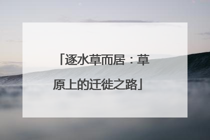逐水草而居：草原上的迁徙之路