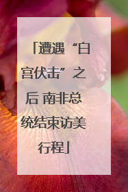 遭遇“白宫伏击”之后 南非总统结束访美行程
