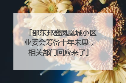 邵东邦盛凤凰城小区业委会筹备十年未果，相关部门回应来了