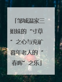 邹城温家三姐妹的“寸草”之心与兖矿暮年老人的“春晖”之乐