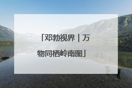 邓勃视界｜万物同栖岭南图