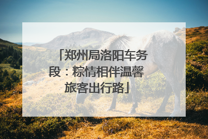 郑州局洛阳车务段：粽情相伴温馨旅客出行路