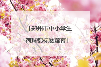 郑州市中小学生荷球锦标赛落幕