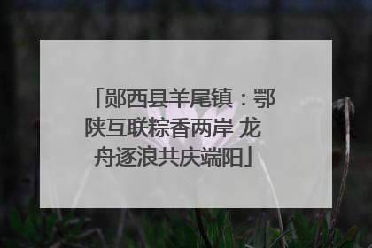 郧西县羊尾镇：鄂陕互联粽香两岸 龙舟逐浪共庆端阳