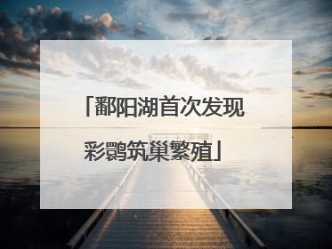 鄱阳湖首次发现彩鹮筑巢繁殖
