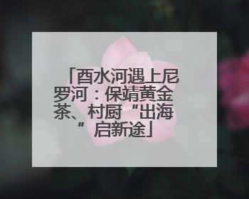 酉水河遇上尼罗河：保靖黄金茶、村厨“出海”启新途