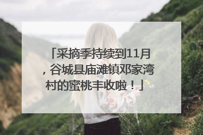 采摘季持续到11月，谷城县庙滩镇邓家湾村的蜜桃丰收啦！
