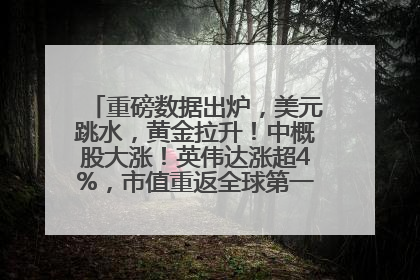重磅数据出炉，美元跳水，黄金拉升！中概股大涨！英伟达涨超4%，市值重返全球第一！黄仁勋计划出售至多600万股股票