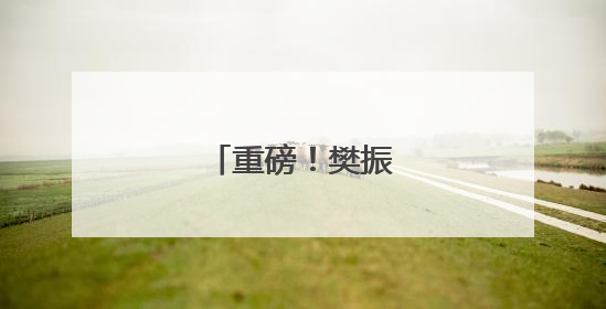 重磅！樊振东加盟德甲