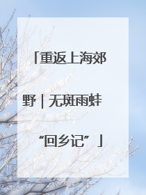 重返上海郊野｜无斑雨蛙“回乡记”