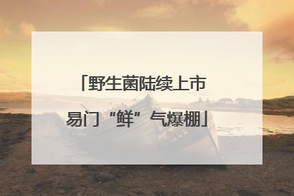 野生菌陆续上市 易门“鲜”气爆棚