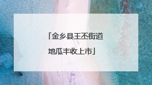 金乡县王丕街道地瓜丰收上市