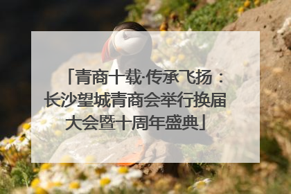 青商十载·传承飞扬：长沙望城青商会举行换届大会暨十周年盛典