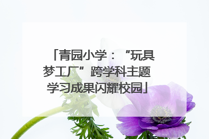 青园小学：“玩具梦工厂”跨学科主题学习成果闪耀校园