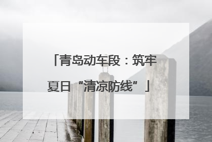青岛动车段：筑牢夏日“清凉防线”