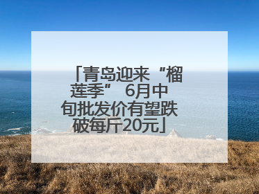 青岛迎来“榴莲季” 6月中旬批发价有望跌破每斤20元