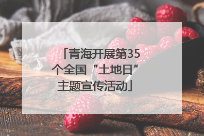 青海开展第35个全国“土地日”主题宣传活动