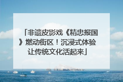 非遗皮影戏《精忠报国》燃动街区！沉浸式体验让传统文化活起来