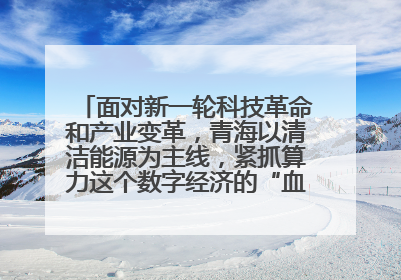 面对新一轮科技革命和产业变革，青海以清洁能源为主线，紧抓算力这个数字经济的“血液”、科技主权的“筹码”、产业升级的“杠杆”、绿色转型的“支点”，勇于撬动国家“双碳”战略、“东数西算”工程重大发展新机遇