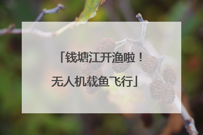 钱塘江开渔啦！无人机载鱼飞行