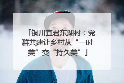 铜川宜君东湖村：党群共建让乡村从“一时美”变“持久美”