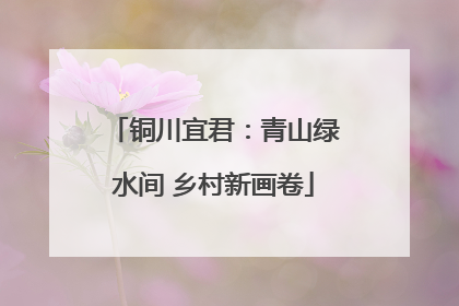 铜川宜君：青山绿水间 乡村新画卷
