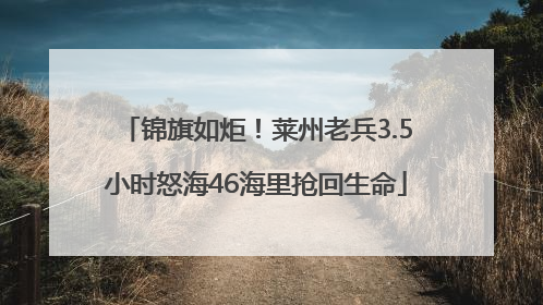 锦旗如炬！莱州老兵3.5小时怒海46海里抢回生命