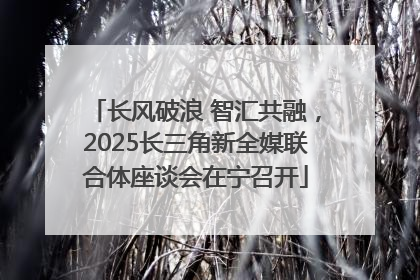 长风破浪 智汇共融，2025长三角新全媒联合体座谈会在宁召开