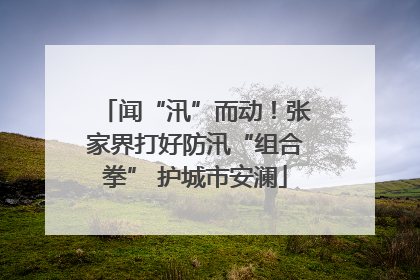 闻“汛”而动！张家界打好防汛“组合拳” 护城市安澜
