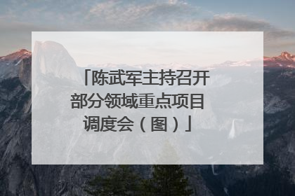 陈武军主持召开部分领域重点项目调度会（图）