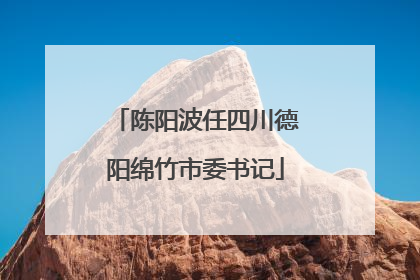 陈阳波任四川德阳绵竹市委书记