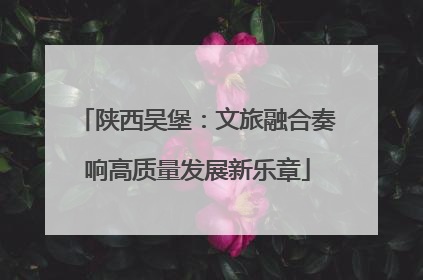 陕西吴堡：文旅融合奏响高质量发展新乐章