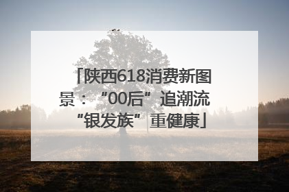 陕西618消费新图景：“00后”追潮流 “银发族”重健康