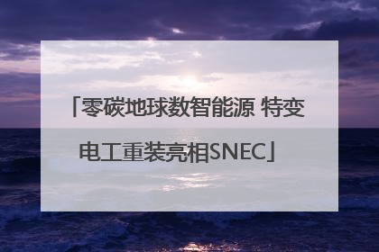 零碳地球数智能源 特变电工重装亮相SNEC