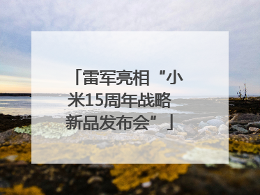 雷军亮相“小米15周年战略新品发布会”