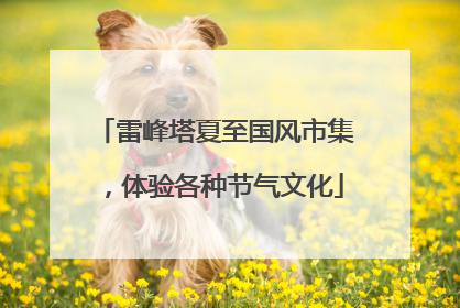 雷峰塔夏至国风市集，体验各种节气文化