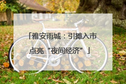 雅安雨城：引摊入市 点亮“夜间经济”