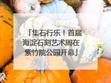 集石行乐！首届海淀石刻艺术周在紫竹院公园开幕