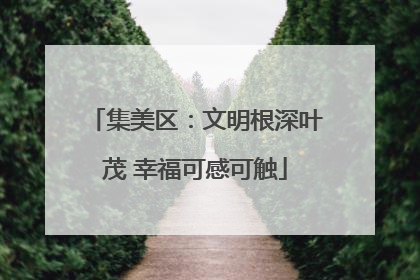 集美区：文明根深叶茂 幸福可感可触