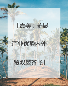 霞美：拓展产业优势内外贸双翼齐飞