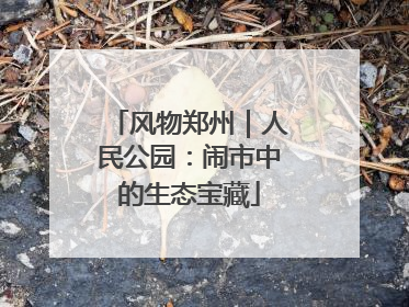 风物郑州｜人民公园：闹市中的生态宝藏