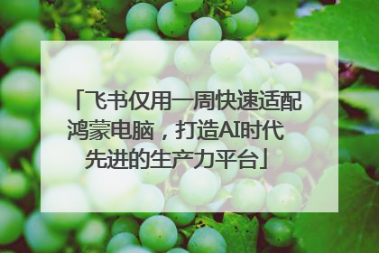 飞书仅用一周快速适配鸿蒙电脑，打造AI时代先进的生产力平台