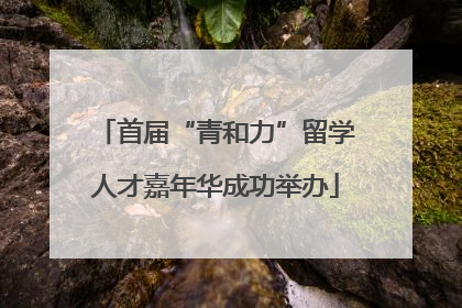 首届“青和力”留学人才嘉年华成功举办