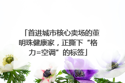 首进城市核心卖场的董明珠健康家，正撕下“格力=空调”的标签