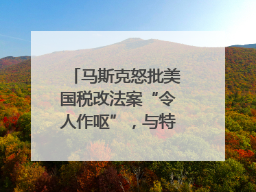 马斯克怒批美国税改法案“令人作呕”，与特朗普早生嫌隙？｜国际识局