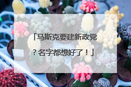 马斯克要建新政党？名字都想好了！