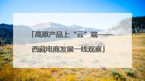高原产品上“云”端——西藏电商发展一线观察
