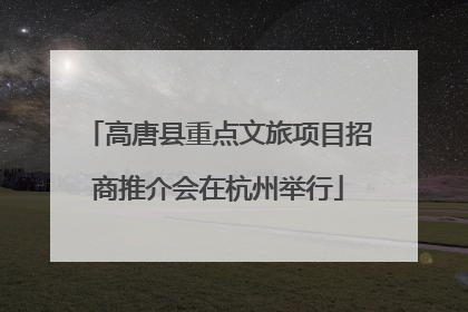 高唐县重点文旅项目招商推介会在杭州举行